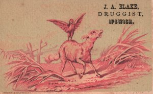 1880s-90s Sheep with Bird Perched on Back in Meadow JA Blake Druggist Trade Card