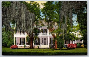 Natchez Mississippi~Elgin Plantation House & Trees Front View~Vtg Linen Postcard
