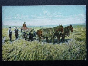 Country Rural Life CUTTING THE HAY SHIRE HORSES c1906 Postcard