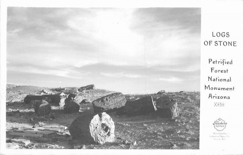 Petrified Forest Arizona Logs of Stone Frasher RPPC Photo Postcard 21-8380