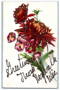 Norwalk Wisconsin Postcard Greetings Glitter Flower Leaf c1910 Vintage Antique