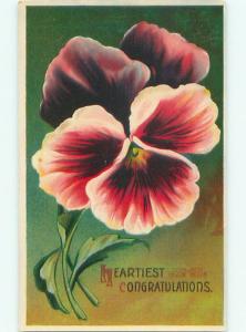 Divided-Back BEAUTIFUL FLOWERS SCENE Great Postcard AA3349