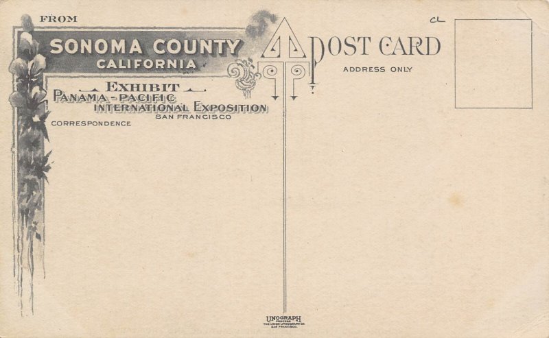 Sonoma County Hop Fields Panama Pacific Exposition California postcard