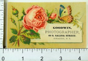 1870's-80's Lovely Goodwin Photographer 60 S. Saline St, Syracuse, NY Card F82