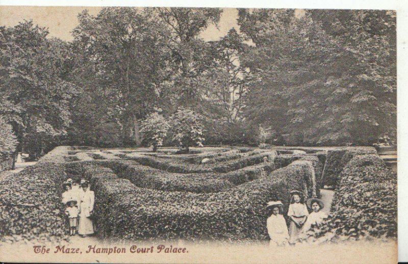 Middlesex Postcard - The Maze - Hampton Court Palace - Ref TZ1494