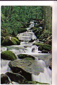 LeConte Creek, Rainbow Falls, Great Smoky National Park, Tennessee, Used 1979
