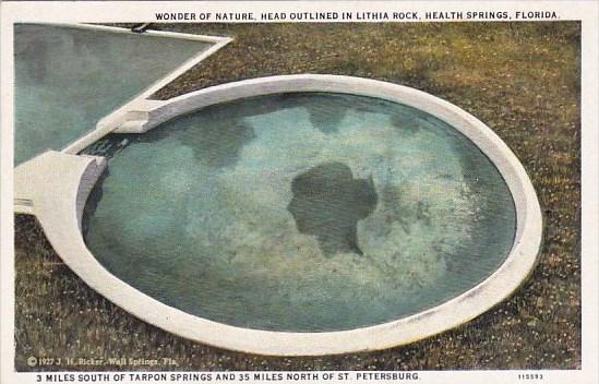 Florida Health Springs Wonder Of Nature Head Outlined In Lithia Rock
