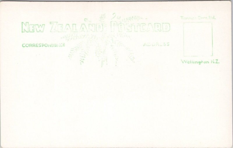 Papakura Geyser Rotorua NZ New Zealand Unused RPPC Postcard H35