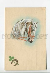 478110 Head of ARABIAN White HORSE Vintage postcard WATERCOLOR