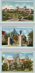 3 Postcards UNIVERSITY of ILLINOIS, Chicago ~ Campus HULL COURT Laboratory 1940s
