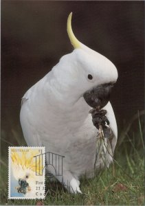 Animals Postcard -Cockatoo, Australian Birds, 1st Day of Issue Stamp Ref.RR15749