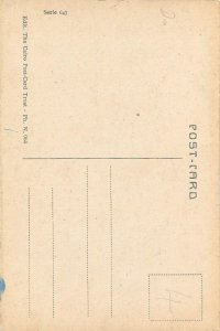 Egypt Cairo native woman old postcard