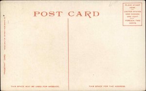 St Paul Minnesota MN Ryan House 9512 Detroit Publishing c1910 Postcard