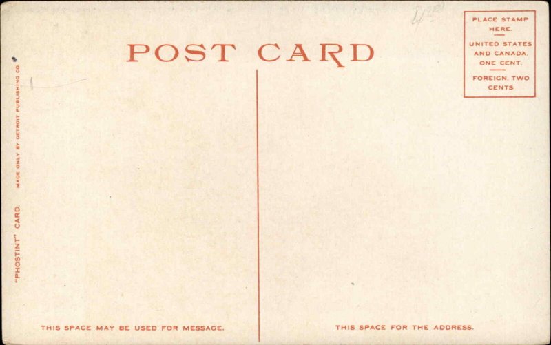 St Paul Minnesota MN Ryan House 9512 Detroit Publishing c1910 Postcard