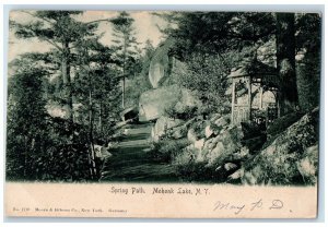 1906 Spring Path Exterior Patio Mohonk Lake New York NY Vintage Antique Postcard 