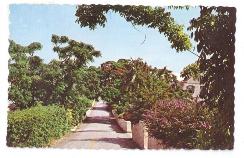 Country Lane Bermuda 1970 Chrome postcard Stamp