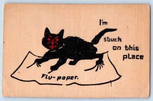 Heron Lake Minnesota MN Postcard Black Cat Got Stuck On Fly Paper c1910's Posted