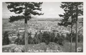 Bellingham Wa Washington From Sehome Hill Ellis 2919 Unused RPPC Postcard E9