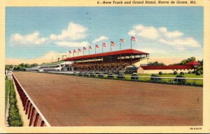 Maryland Havre De Grace Race Track and Grand Stand 1942 Curteich