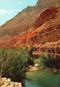 Vintage Postcard Ein-Gedi Oasis Landscape at Nachal Arugot Nature Reserve Israel