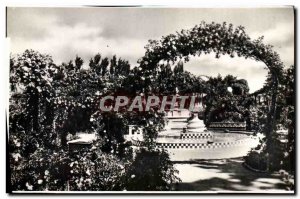 Old Postcard Valencia Jardines del REal Rosaleda