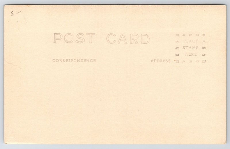 Canadian Texas~Carnegie Public Library~Tuscan Columns~WCTU Owned Bldg RPPC c1927