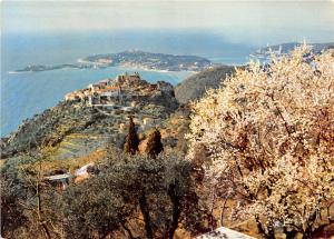 BR13996 Vue generale au loin le Cap Ferrat Eze   france