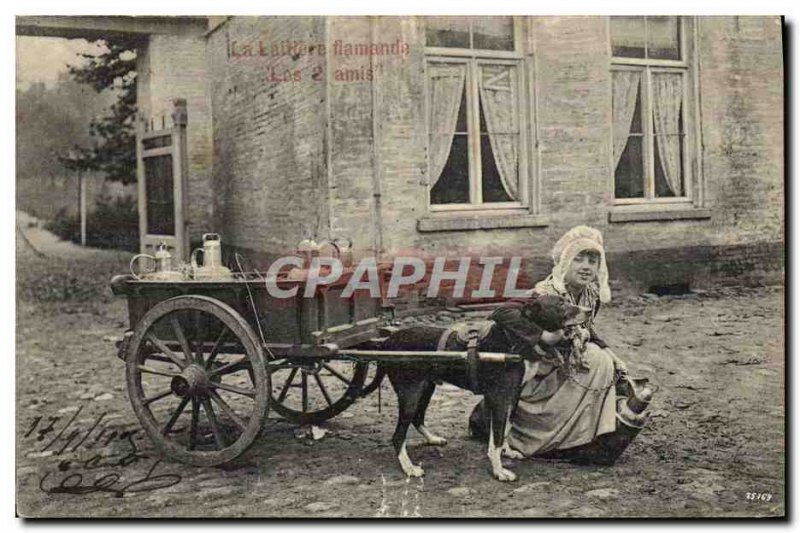 Old Postcard Dog Dogs Flemish Laitiere The TOP 2 friends