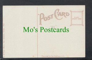 America Postcard - Masonic Temple, Lawrence, Kansas City, Missouri SW3957