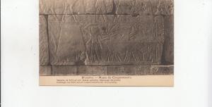 BF18579 mastaba de nefer nef scenes agricole brux sculpture art front/back image