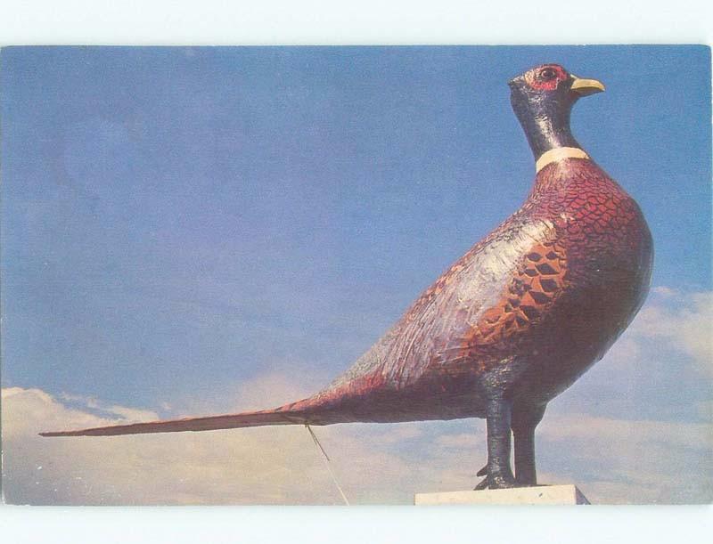 Pre-1980 WORLD'S LARGEST PHEASANT STATUE AT MOTEL Huron South Dakota SD E6438