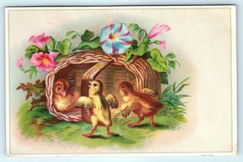 c1880s Cute Baby Chicks in Basket Victorian Trade Card Adorable Happy Birds C24