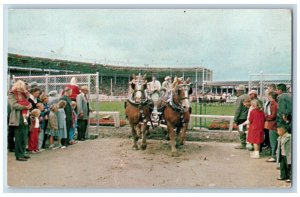 Olympia Washington WA Postcard Fair-Time In Washington State Rodeos & Race 1961