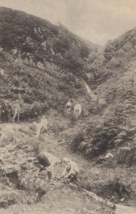 Cheshire Postcard -Mostyn House School, Parkgate - Our Bungalow, Hillside SW1803