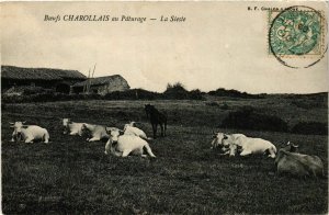 CPA Charolles La Sieste FRANCE (952737)