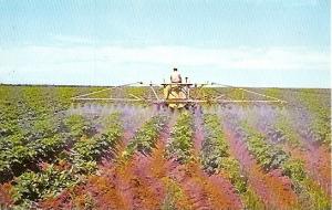 PEI ~ Spraying a Field of Potatoes in Prince Edward Island