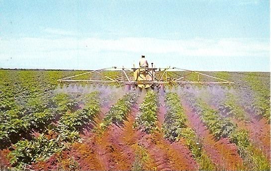 PEI ~ Spraying a Field of Potatoes in Prince Edward Island