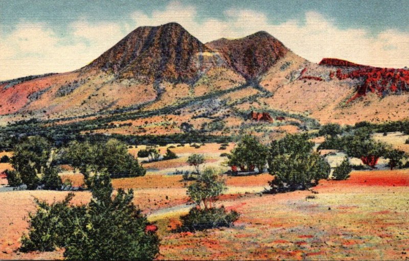 Texas Davis Mountains The Twin Sisters