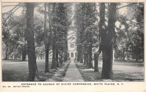 White Plains New York Church of the Divine Entrance Vintage Postcard AA66305