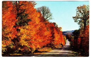 Algonquin Park in Autumn, Ontario