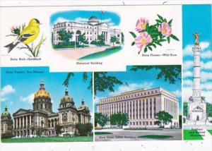 Iowa Des Moines State Capitol State Bird State Flower and More
