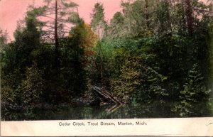 Michigan Manton Cedar Creek Trout Stream 1907