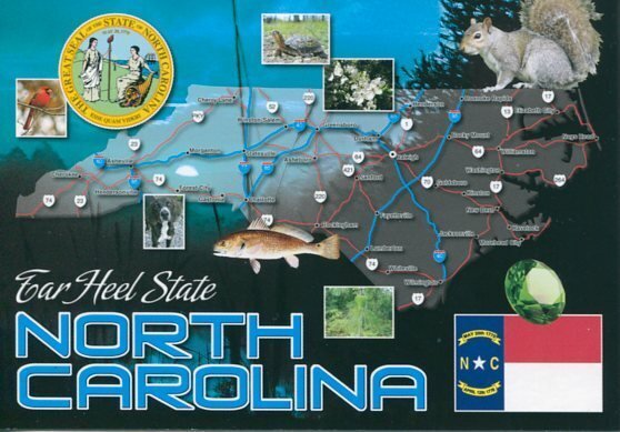 NORTH CAROLINA -TARHEEL STATE POSTCARD [9277]