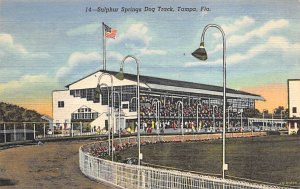 Sulphur Springs Dog Track Tampa, Florida USA