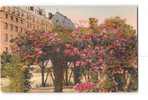 Victoria British Columbia Canada Hand Colored Postcard 1915-1930 Empress Hotel