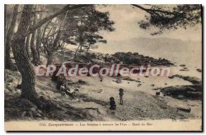 Postcard Old Carqueiranne Les Salettes through the Sea Pines Bors