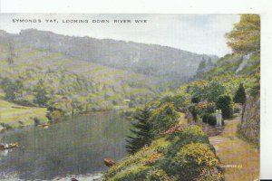 Herefordshire Postcard - Symonds Yat - Looking Down River Wye - Ref 15193A