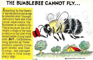 Petley Studios Laff  THE BUMBLEBEE CANNOT FLY  1957 Chrome Artist View Postcard