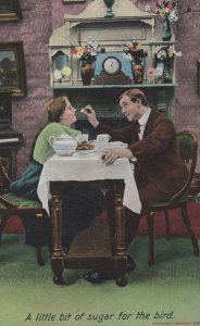 A Little Spoonful Bit Of Sugar For The Bird Risque Old Comic Postcard