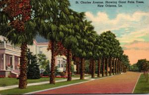 Louisiana New Orleans St Charles Avenue Showing Giant Palm Trees 1949 Curteich